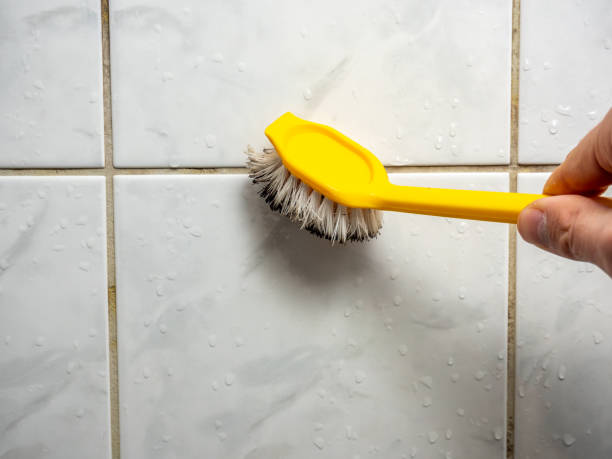 Best Office Mold Removal Services  in Palmhurst, TX