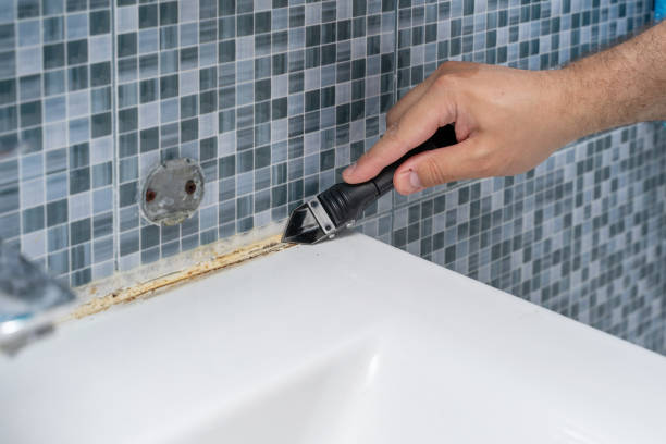 Best Emergency Mold Removal  in Palmhurst, TX